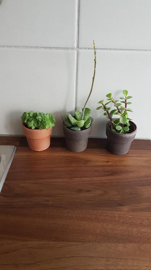 Eliya'S Place Apartman Verbania Kültér fotó